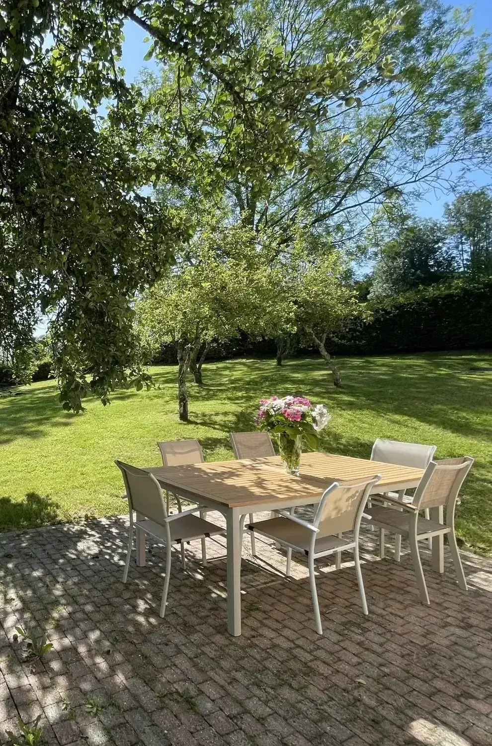La table du jardin sous le pommier