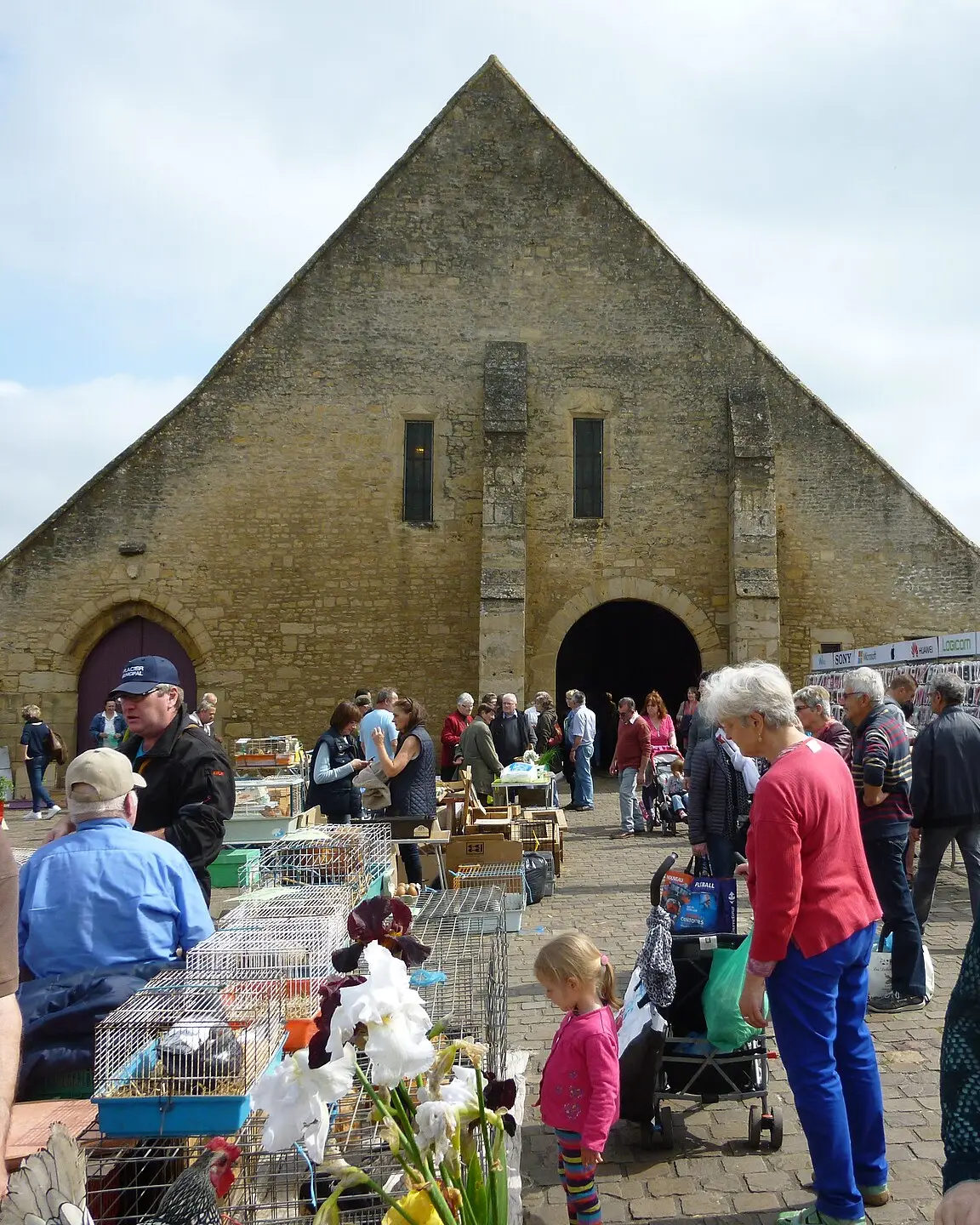 Le marché du lundi de Saint-Pierre-sur-Dives devant sa halle médiévale