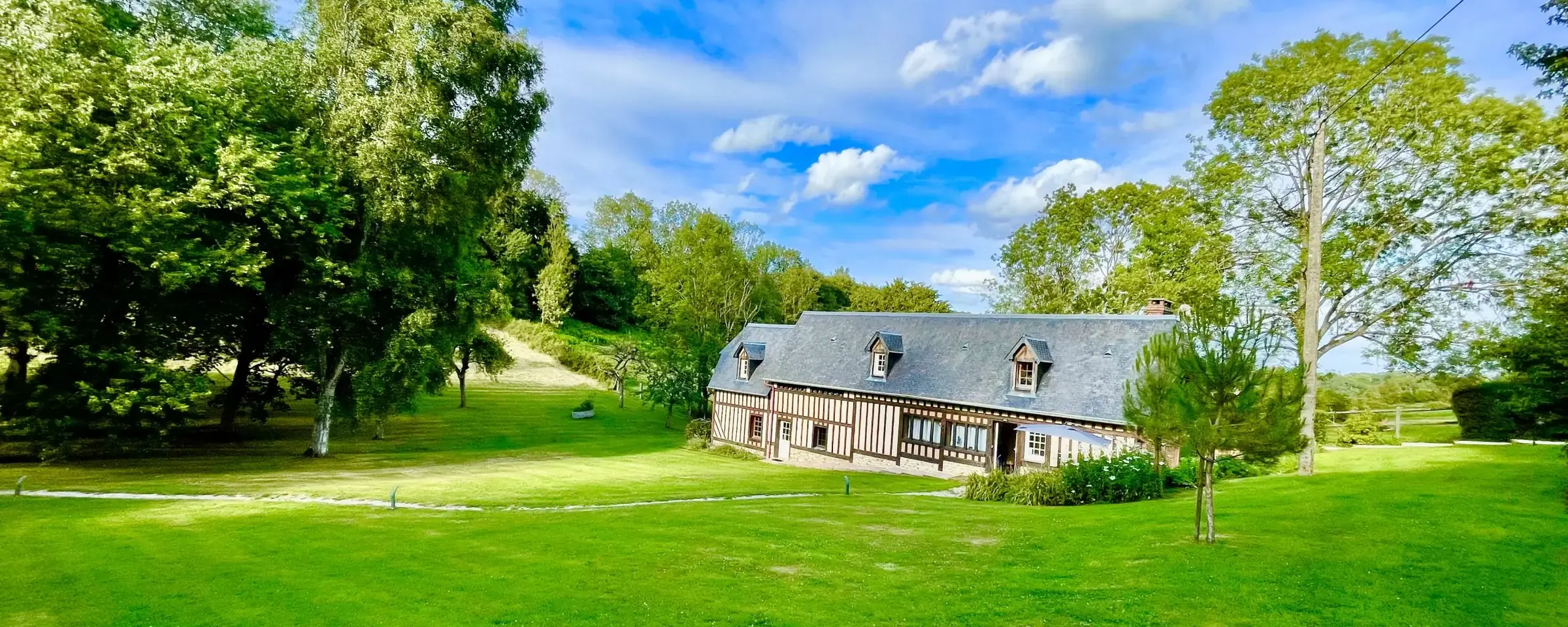 Reinette Grise, au bout de la pelouse du Hameau des Prés-Verts, sous les grands arbres