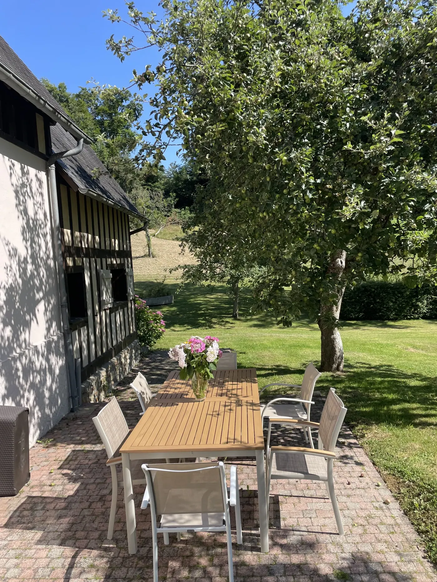 Reinette Grise et sa terrasse dressée sous les arbres